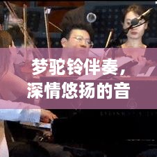 梦驼铃伴奏，深情悠扬的音乐之旅探索
