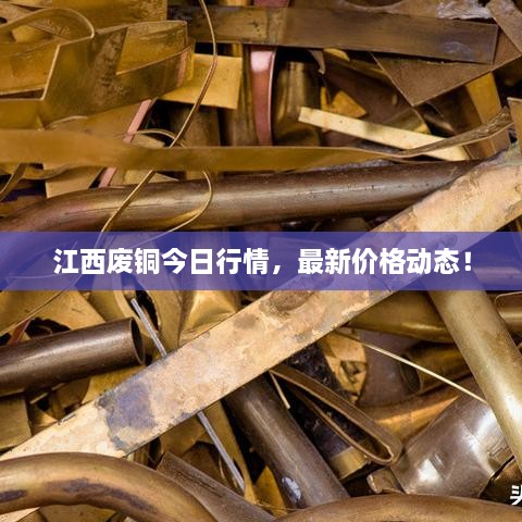 江西废铜今日行情，最新价格动态！