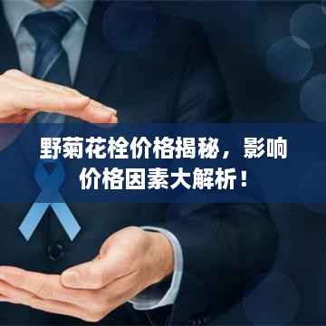 野菊花栓价格揭秘，影响价格因素大解析！