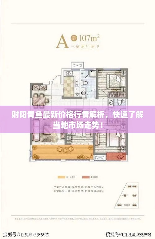 射阳青鱼最新价格行情解析，快速了解当地市场走势！