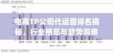 电商TP公司代运营排名揭秘，行业格局与趋势洞察
