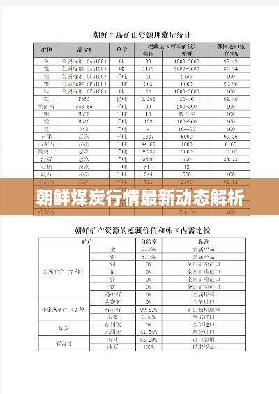 朝鲜煤炭行情最新动态解析