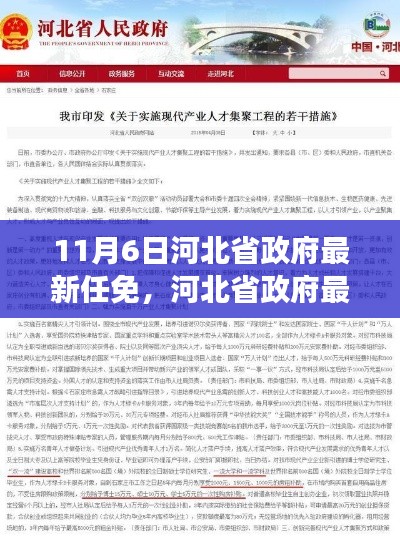 河北省政府最新任免动态解析，人才流动与治理效能聚焦报告