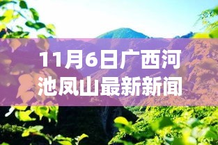 广西河池凤山探秘，自然美景的心灵之旅——最新新闻纪实