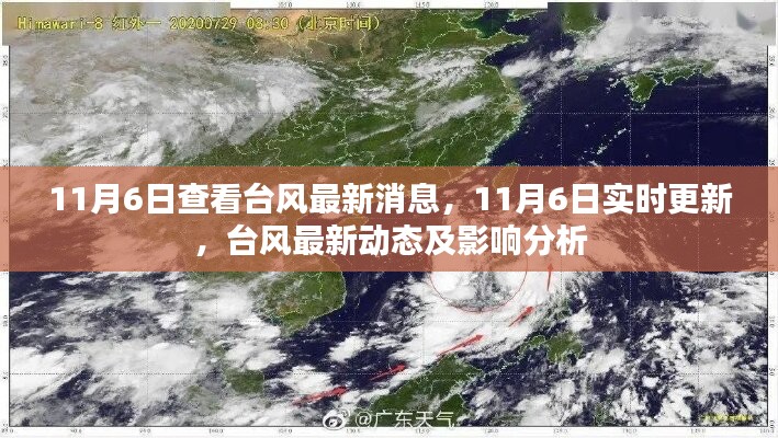 台风最新动态及影响分析，实时更新，11月6日查看