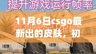 11月6日CSGO新皮肤获取与使用指南，初学者与进阶用户必看