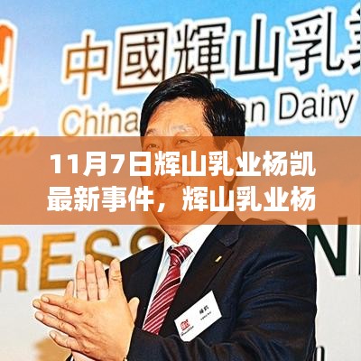 辉山乳业杨凯事件深度解析，背景、进展、影响及最新动态