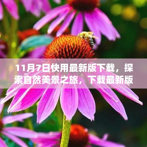 探索自然美景之旅，快用最新版应用下载，启程寻找内心的宁静与平和（附幽默元素）