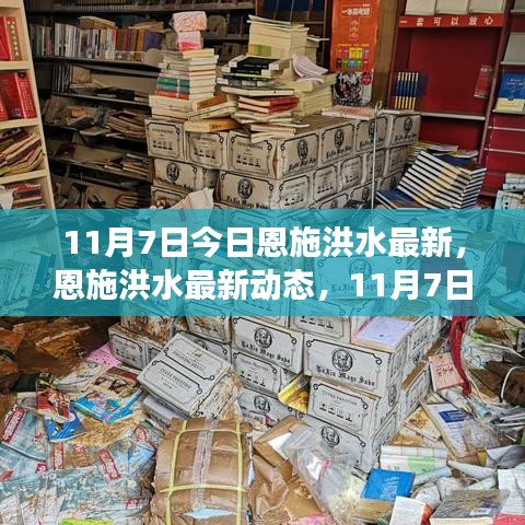 恩施洪水最新动态及观察报告，11月7日今日更新