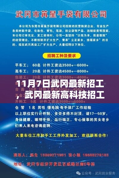 武冈最新高科技招工，科技革新引领未来工作新纪元