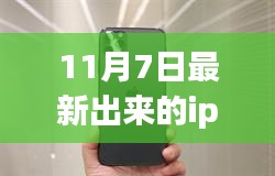 关于我们 第257页