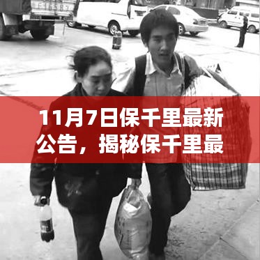 揭秘保千里最新动态，深度解析11月7日公告内容