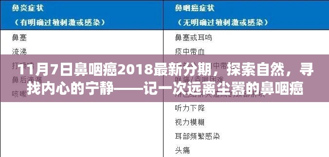 探索鼻咽癌最新分期之旅，寻找内心的宁静与远离尘嚣的启示