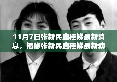 揭秘张新民唐桂娣最新动态，全面指南获取与理解信息（适合初学者与进阶用户）