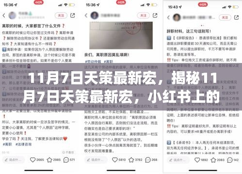 揭秘，11月7日天策最新宏操作指南，小红书高效操作指南分享