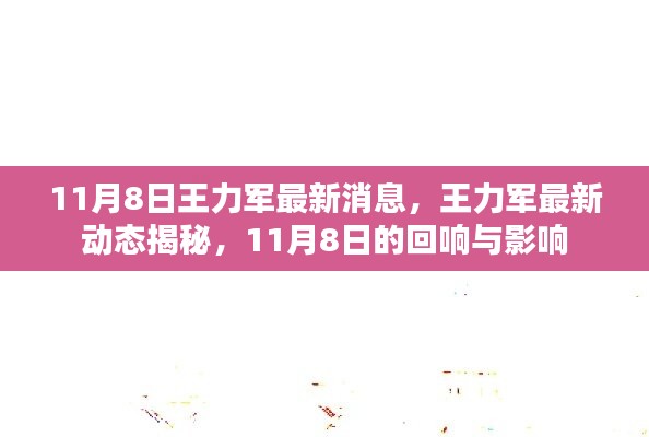 王力军最新动态揭秘，11月8日的回响与影响