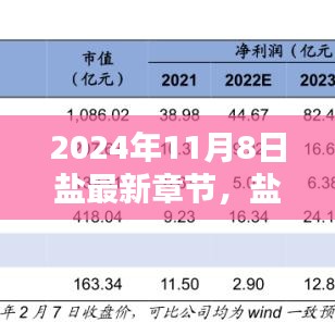 盐之日常，友情、温馨与爱的篇章（最新章节 2024年11月8日）