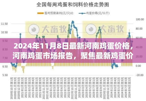 河南鸡蛋市场报告，最新价格动态与行情分析（2024年11月8日）