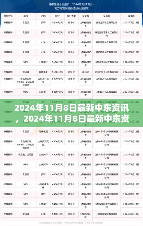 2024年11月8日最新中东局势资讯与观点分析