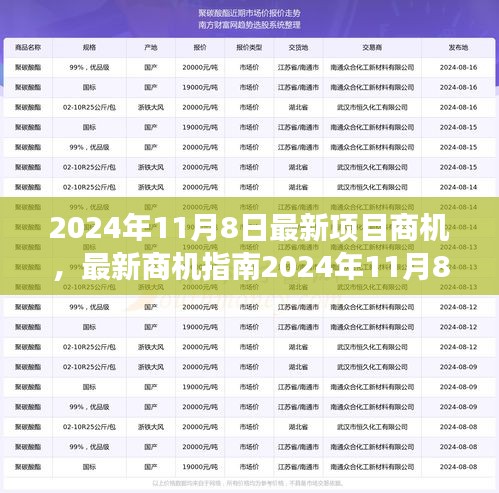 2024年11月8日最新项目商机指南，从零起步掌握新项目商机，开启成功之路