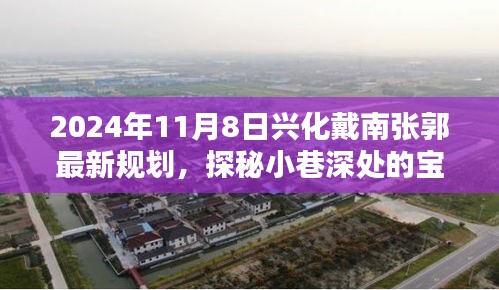 探秘兴化戴南张郭老街，新规划下的独特风情宝藏小店，2024年最新进展揭秘