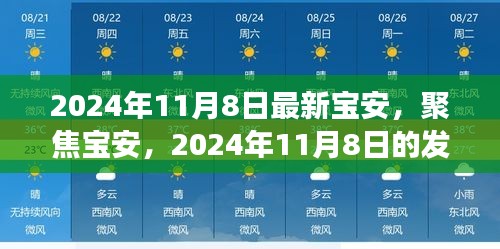 聚焦宝安，2024年11月8日发展新篇章