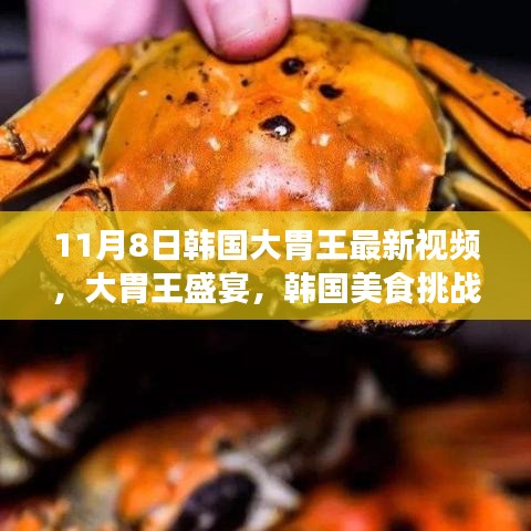 韩国大胃王盛宴揭秘，深度评测最新美食挑战视频（11月8日）