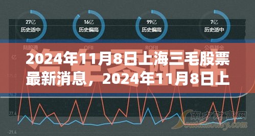 上海三毛股票最新消息解析与投资策略指南（2024年11月8日）