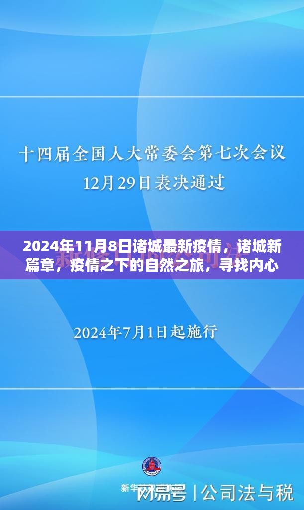 诸城疫情最新动态，疫情之下的自然之旅与内心宁静寻找之旅