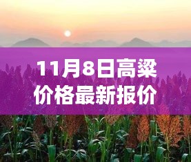 11月8日高粱价格动态与小巷秘境中的独特小店故事