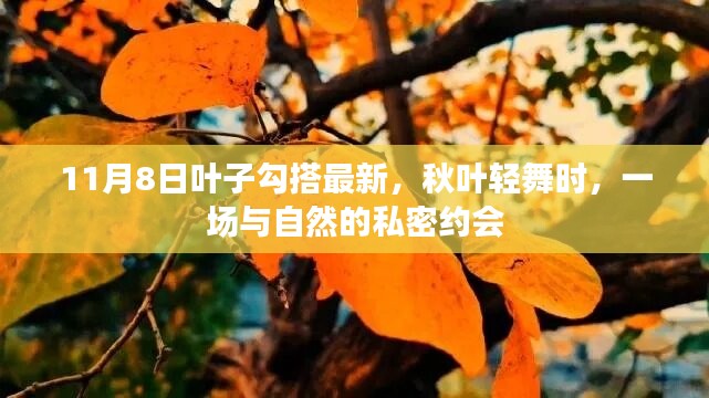 秋日私语，与自然的私密约会，叶子轻舞时