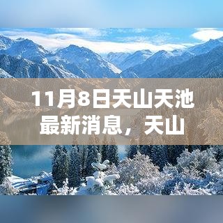 11月8日天山天池最新动态解析与多元观点探讨