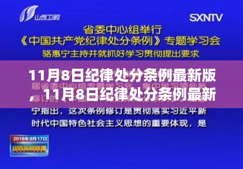 11月8日纪律处分条例最新版，多方观点与个人立场探讨