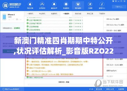 新澳门精准四肖期期中特公开,状况评估解析_影音版RZO228.97