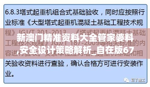 新澳门精准资料大全管家婆料,安全设计策略解析_自在版672.72