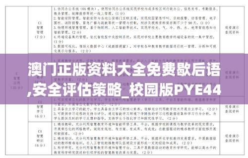 澳门正版资料大全免费歇后语,安全评估策略_校园版PYE448.61