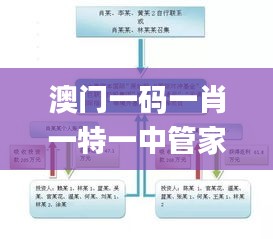 澳门一码一肖一特一中管家婆,最佳精选解释定义_个人版PWK188.55