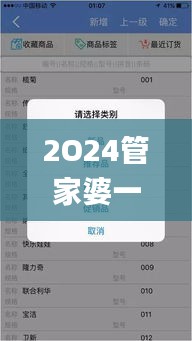 2O24管家婆一码一肖资料,安全解析策略_收藏版VWP933.84