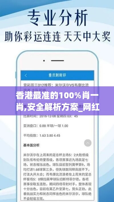 香港最准的100%肖一肖,安全解析方案_网红版524.37