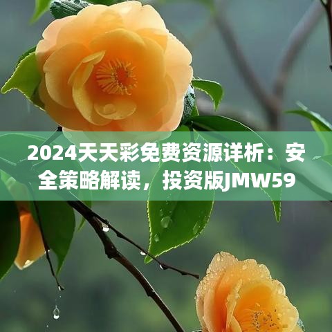 2024天天彩免费资源详析：安全策略解读，投资版JMW59.86