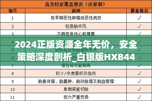 2024正版资源全年无价，安全策略深度剖析_白银版HXB444.14