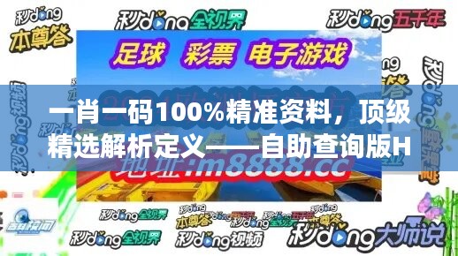 一肖一码100%精准资料，顶级精选解析定义——自助查询版HOU688.73