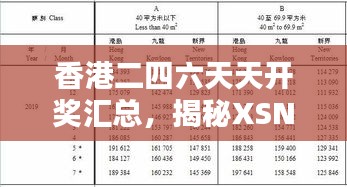 香港二四六天天开奖汇总，揭秘XSN449.81安全评估策略