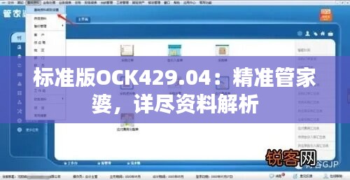 标准版OCK429.04：精准管家婆，详尽资料解析