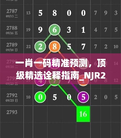 一肖一码精准预测，顶级精选诠释指南_NJR202.15亲和版