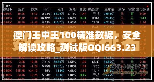 澳门王中王100精准数据，安全解读攻略_测试版OQI663.23