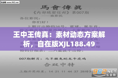 王中王传真：素材动态方案解析，自在版XJL188.49