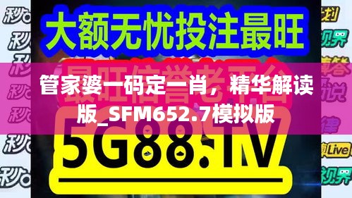 管家婆一码定一肖，精华解读版_SFM652.7模拟版