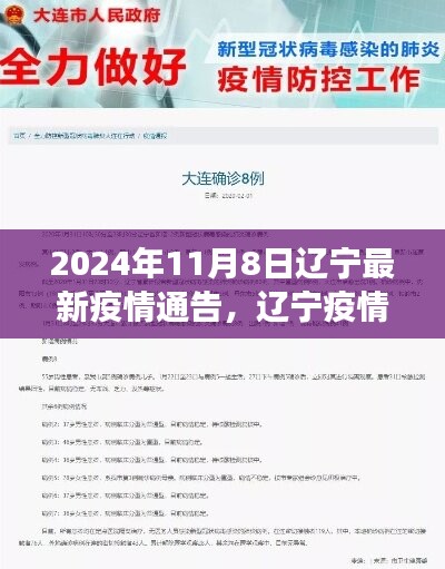 2024年11月8日辽宁疫情最新动态与回顾展望