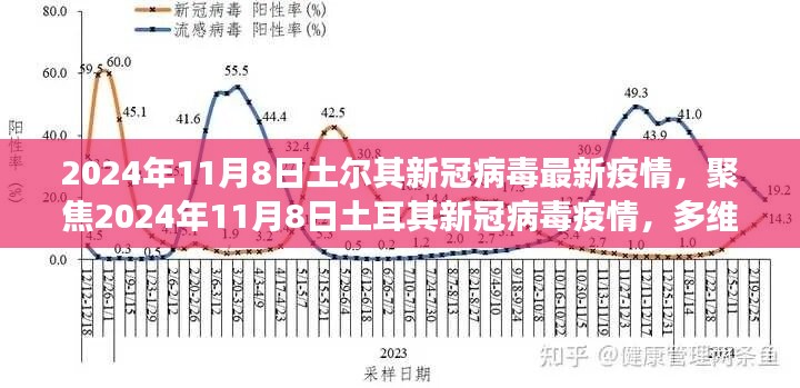 聚焦土耳其新冠疫情，多维度视角下的观点碰撞与立场探讨